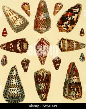 Enzyklopädie londinensis, oder, Universal Wörterbuch Enzyklopädie londinensis, oder, Universal Wörterbuch der Künste, der Wissenschaften und der Literatur: zu begreifen, unter einem allgemeinen alphabetischen Anordnung, alle Worte und den Inhalt von jeder Art Wörterbuch in der englischen Sprache: In welcher die verbesserte Abteilungen der mechanischen Künste, der Liberalen Wissenschaften, die höhere Mathematik, und der mehrere Zweige der höflichen Literatur, aus der Apostelgeschichte, Memoiren ausgewählt sind, und Transaktionen, der bedeutendsten literarischen Gesellschaften in Europa, Asien und Amerika: eine umfassende Sicht auf die Stockfoto