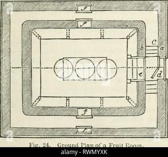 Elliott's Obst Buch; oder, der Elliott Obst Buch; oder die amerikanische Frucht des Erzeugers Guide im Obstgarten und Garten. Ein compend der Geschichte, Formen der Vermehrung, Kultur, etc., von Obstbäumen und Sträuchern, mit Beschreibungen von fast alle Sorten von Obst in diesem Land kultiviert; stellt ihrer Anpassung an Gemeinden und Böden, und auch eine vollständige Liste der Früchte der Anbau elliottsfruitbo 00 elli Jahr: 1858 OBST ZIMMER FÜR DAS HALTEN. 41 Voraussetzung für die in den Regalen der Obst Zimmer gelegt. Die beste Methode zur Sammlung von Obst s, um Sie einzeln mit der Hand reißen, Pflege Stockfoto
