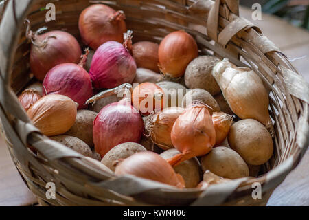 Zwiebel und Kartoffeln in Weidenkorb Stockfoto