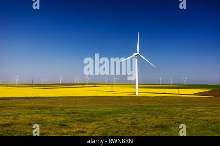 Windkraftanlagen. Felder mit Windmühlen. Raps Feld in der Blüte. Erneuerbare Energien. Die Umwelt zu schützen. Dobrogea, Rumänien Stockfoto
