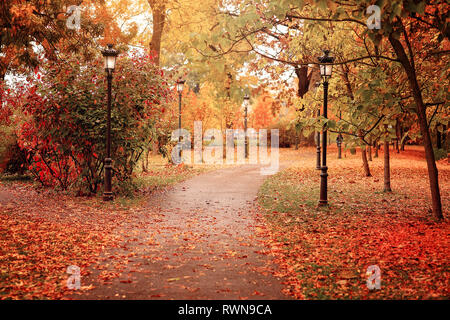 Goldener Herbst in einem öffentlichen Park. Schöne gelbe und rote Blätter und leere Gasse. Tolle Aussicht mit bunten Herbst Landschaft Stockfoto