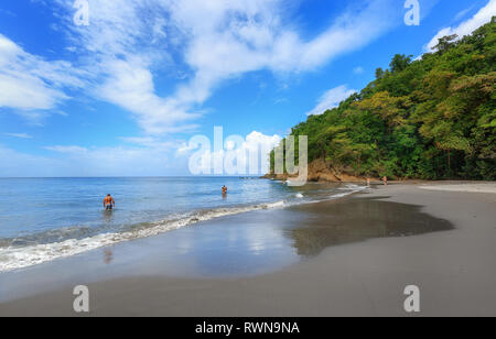 Schwarzer Sandstrand in Martinique, Karibik. Anse Couleuvre, Le Precheur Region, in der Nähe von Motagne Pelee. Die Leute im Wasser auf der Suche nach Schildkröten. Stockfoto