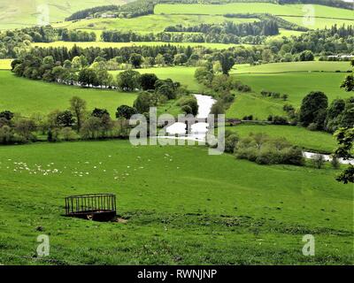 Blick über ein grünes Tal in der Nähe von Peebles in den Scottish Borders, Schottland Stockfoto