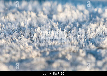 Ein Detail der Texturen und Muster der Rime Frost an einem kühlen Morgen; Gig Harbor, Washington, Vereinigte Staaten von Amerika Stockfoto