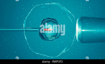 Künstliche oder assistierten Befruchtung ist der Prozess, durch den die Union der Gameten künstlich durchgeführt wird, durch Beobachtung unter dem Mikroskop Stockfoto