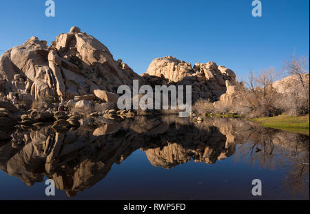 Barker Dam, stehendes Wasser, Joshua Tree National Park, Kalifornien, USA Stockfoto