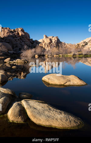 Barker Dam, stehendes Wasser, Joshua Tree National Park, Kalifornien, USA Stockfoto