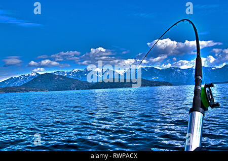 Lachs Angeln Stockfoto