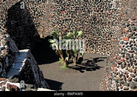 Mexikanische Museum Templo Mayor in Mexiko Stadt. Stockfoto