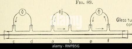 Die Elemente der menschlichen Physiologie (1907) Elemente der menschlichen Physiologie elementsofhumanp 05 Sterne Jahr: 1907 NERV-Fasern (DURCHFÜHRUNG VON GEWEBE) 183 Aktuelle und in die gleiche Richtung. Dieser Strom ist die Elektrotonisches aktuelle genannt. Es darf nicht mit dem aktuellen Stand der Aktion, die an einem der Pole verursacht schämen, nur zu bilden oder brechen des aktuellen, und ist von dort in Form einer Welle mit einem messbare Geschwindigkeit von ca. 30 Meter pro Sekunde übertragen. Die Elektrotonisches aktuelle wird sofort entwickelt, und dauert die ganze Zeit, dass der Strom durch den Nerv fließt. Seine Produktion Stockfoto