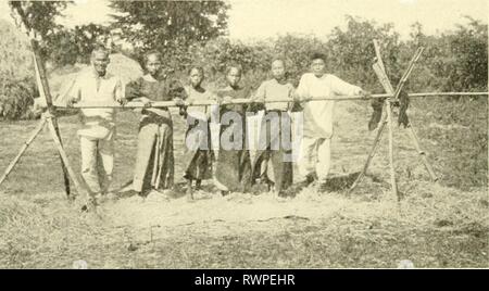 Elemente der philippinischen Landwirtschaft (1908) Stockfoto