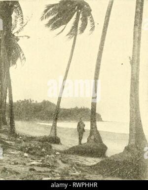 Elemente der philippinischen Landwirtschaft (1908) Stockfoto