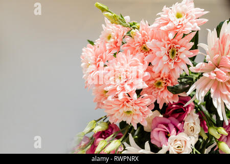 Sehr schön zart blühenden Strauß mit frischen Hortensie, Eustoma, Rosen, Eukalyptus Blüten in Pastelltönen Rosa und Creme Farben auf die graue Wand Stockfoto