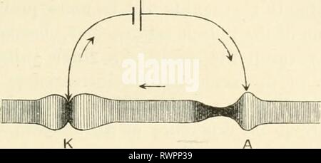 Die Elemente der menschlichen Physiologie (1907) Elemente der menschlichen Physiologie elementsofhumanp 05 Sterne Jahr: 1907 Die kontraktilen Geweben 151 auf die gleiche Weise gibt es in der Umgebung der Kathode werden eine Reihe von virtuellen Anoden. So, und wenn wir den Harnleiter und ein Strom durch sie führen, während sie umschlungen ist in thread Loops als Elektroden dienen, gibt es Kontraktion der beiden Schichten an der Kathode und Entspannung sowohl an der Anode. Wenn jedoch das Bild. 67. An der Kathode k gibt es eine kleine Linie der Einschnürung, von einem Bereich der Entspannung umgeben. An der Anode sich der Muskel wird wieder nachgelassen, ist aber starke Stockfoto