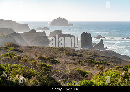 Big Sur, Kalifornien - die vielen Schichten der sea Stacks und zerklüftete Küste entlang der Westküste der Vereinigten Staaten und dem berühmten Highway 1. Stockfoto