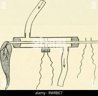 Die Elemente der menschlichen Physiologie (1907) Elemente der menschlichen Physiologie elementsofhumanp 05 Sterne Jahr: 1907 180 Physiologie für einen Tag, festgestellt werden kann, dass eine einfache Teil des Ischiasnervs ausreichen Der Gastrocnemius in anhaltenden Schrumpfung zu senden, und unter diesen Umständen * Schließen tetanus" kann mit der größten Leichtigkeit gewonnen werden. Die entgegengesetzte Auswirkungen der Abkühlung auf die Leitfähigkeit und die Erregbarkeit der Nerven zeigen, dass diese Eigenschaften möglicherweise sind unabhängig und werden nicht durch den gleichen Bedingungen betroffen. Die Inflitence von Drogen Die wichtigsten Medikamente mit Einfluss auf die Nerv-Fasern Stockfoto