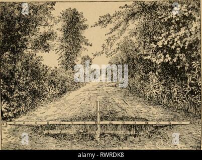 Elemente der Landwirtschaft; ein Text Elemente der Landwirtschaft; ein Lehrbuch für öffentliche Schulen elementsofagricu 00 shep Jahr: 1905 Abb. 70. Schlecht gekrönt und schlecht durchlässigen Bahnkörper. Stockfoto