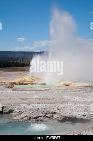 Clepsydra Geysir im Fountain Paint Pot Bereich der Yellowstone National Park, Wyoming Stockfoto