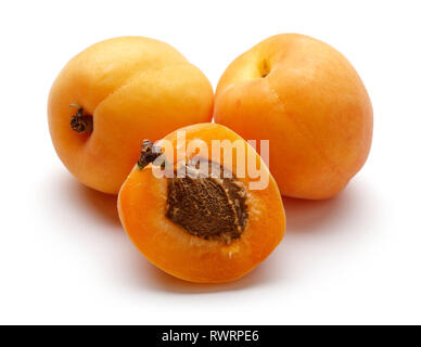 Frische Aprikosen Früchte auf weißem Hintergrund Stockfoto