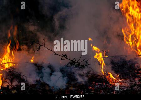 Wald wildfire bei Nacht ganze Gebiet durch Flammen und Wolken dunkler Rauch bedeckt. Verzerrte Details durch hohe Temperaturen und hohe Verdunstung Gase während Kom Stockfoto