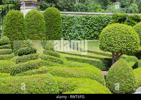 Topiary Garten mit getrimmt Hedge, die Büsche in verschiedenen Formen durch eine Wand bedeckt mit Efeu. Stockfoto