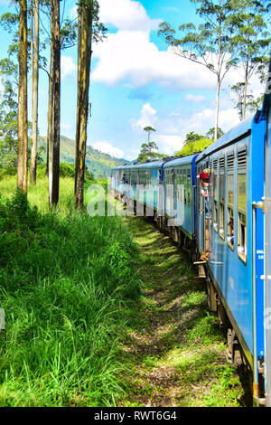 Sri Lankan Blue Train ride Rubrik durch Hill Country- und Teeplantagen von Colombo nach Kandy, Nuwara Eliya, Ella, Badulla, Sri Lanka Stockfoto