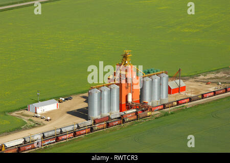 Antenne, der Körnerelevator Swan River, Manitoba Stockfoto