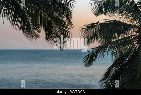 Schöne Silhouette Landschaft während der Abend von einem Meer aus Palmen, einer schönen Horizont mit magischen sky Farbe. Stockfoto