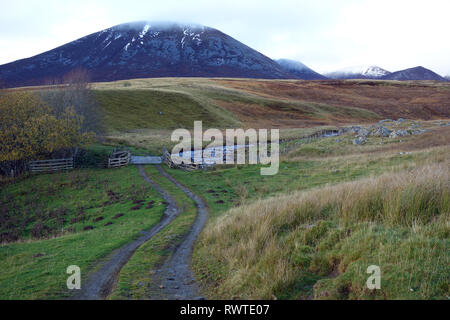 Der Berg Munro Carn Liath Teil des Beinn a Ghlo reichen von Shinagag auf dem Weg zum Corbett Ben Vuirich in Perthshire, Scottish Highlands, Großbritannien. Stockfoto