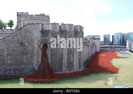 Kinder im Creramic Mohnblumen am Tower von London, die in 2014 an einem sonnigen Tag in London Stockfoto