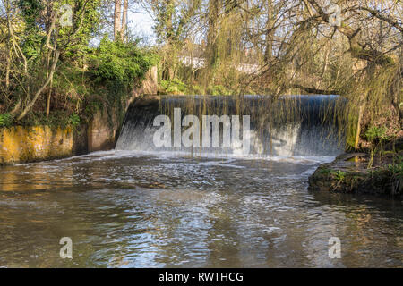 Die wehr auf dem Fluss Ffa bei Sidmouth, Devon, mit Weiden gerade beginnen, Farbe. Stockfoto