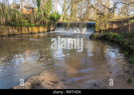 Die wehr auf dem Fluss Ffa bei Sidmouth, Devon, mit Weiden gerade beginnen, Farbe. Stockfoto