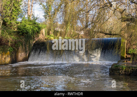 Die wehr auf dem Fluss Ffa bei Sidmouth, Devon, mit Weiden gerade beginnen, Farbe. Stockfoto