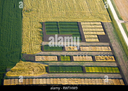 Antenne, test Plots, Kelburn Farm, St Adolphe, Manitoba Stockfoto