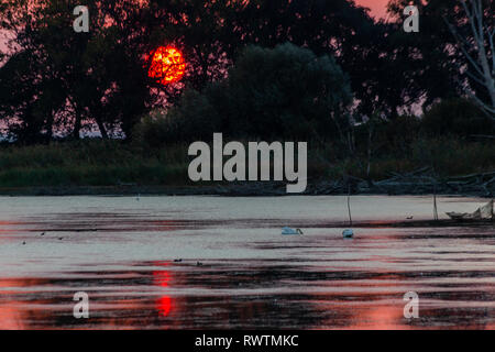 Sonnenuntergang Szene über den See, die Sonne, die hinter einigen Bäumen und auf dem Wasser widerspiegeln Stockfoto