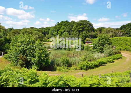 RSPB Nature Reserve Minsmere Stockfoto