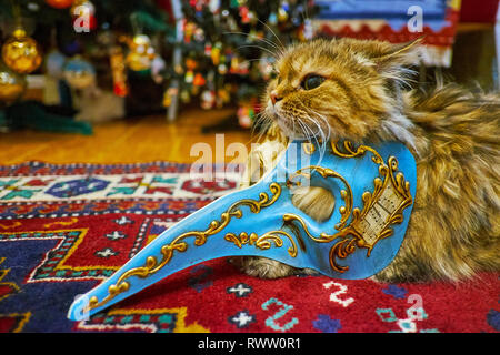 Pussycat wirft mit Pest Arzt Karneval in Venedig Maske, mit vergoldeten und Noten eingerichtet. Stockfoto