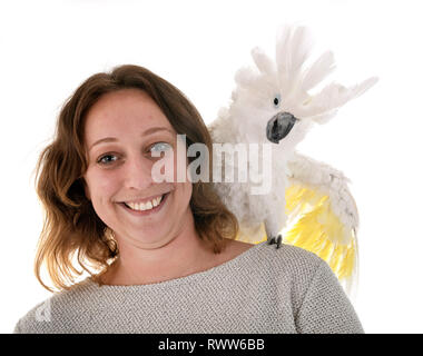 White cockatoo vor weißem Hintergrund Stockfoto