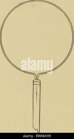 Elementare Entomologie (1912) Elementare Entomologie elementaryentom 00 sand Jahr: 1912 132 ELEMENTARE ENTOMOLOGIE fest mit dem Stick mit stout Bindedraht. Der ring wird viel mehr fest gehalten werden, wenn die Enden des Drahtes geschärft werden und wieder im rechten Winkel gebogen und in die Stick angetrieben. Auch eine Nut auf beiden Seiten der Stick für den Empfang von Kabel w' krank machen es viel stouter. Es gibt zahlreiche andere Möglichkeiten der Konstruktion von net Frames, aber die meisten von ihnen sind auch für den Einsatz in der Praxis kompliziert. Viele falten Frames von verschiedenen Arten kann der entomo-logische Versorgungsunternehmen, Stockfoto