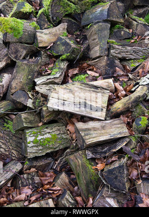 Große Stapel von Rundholz gestapelt in einem Garten bereit für Brennholz in einem Garten in der Nähe Carnforth Lancashire England Vereinigtes Königreich Großbritannien Stockfoto