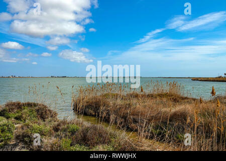 Weite Flächen, Seen und Schilfflächen, das Ebro-delta Naturschutzgebiet, in der Nähe von Amposta, Katalonien, Spanien Stockfoto