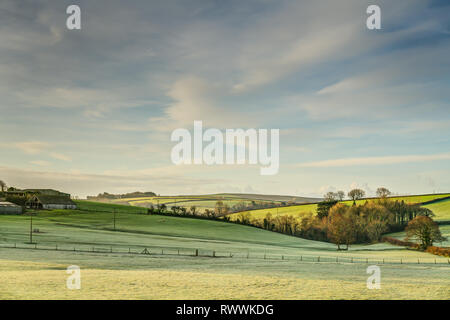 Eine schöne am frühen Morgen, mit einem leichten Frost Vereisung das Gras Felder, die vom Bauernhof, mit hügeligen Landschaft im Hintergrund und einen schönen Himmel. Stockfoto