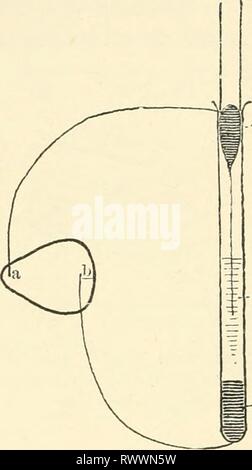 Die Elemente der menschlichen Physiologie (1907) Elemente der menschlichen Physiologie elementsofhumanp 05 Sterne Jahr: 1907 706 PHYyiOLOGY Glas und Eintauchen in die Quecksilber dienen als Terminals. In Folge der Kapillarwirkung die Säure steigt einige Weise in das Kapillarrohr und die Kraft dieses Können, mit feinen Kapillaren, das Gewicht von mehreren Zoll Quecksilber unterstützen. Wenn das Instrument verwendet wird, wird der Meniskus des Quecksilbers in der Kapillare an der Kreuzung mit der Säure wird unter dem Mikroskop beobachtet, oder eine vergrößerte Bild ist auf einem Bildschirm mit Hilfe der Kalk oder elektrisches Licht geworfen. Abb. 323. Stockfoto