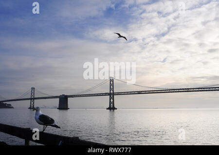 Die Bay Bridge und die Skyline von San Francisco aus treasue Insel gesehen. Klassische Panoramablick auf San Francisco Skyline mit berühmten Oakland Bay Bridge I Stockfoto