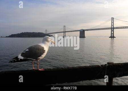 Die Bay Bridge und die Skyline von San Francisco aus treasue Insel gesehen. Klassische Panoramablick auf San Francisco Skyline mit berühmten Oakland Bay Bridge I Stockfoto