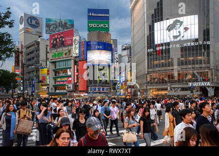 Der Stadtteil Shibuya in Tokio. Shibuya ist beliebte Viertel in Tokyo, für die Fußgängerzone überqueren, Shibuya, Tokio. Fußgänger kreuz Shibuya Crossing, einer Stockfoto