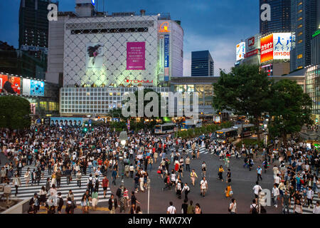 Der Stadtteil Shibuya in Tokio. Shibuya ist beliebte Viertel in Tokyo, für die Fußgängerzone überqueren, Shibuya, Tokio. Fußgänger kreuz Shibuya Crossing, einer Stockfoto