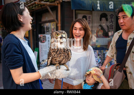 Owl Cafe. Junge japanische Frau, die Werbung und die Förderung der lokalen Bar, wo Kunden pet und wilden Tieren berühren kann. Bezirk in Asakusa, Tokyo, Japan, Asi Stockfoto