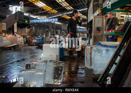 Tsukiji Fischmarkt, Tokio, Japan, Asien, der größte Großhandel Meeresfrüchte-Markt in der Welt. Ansicht von Geschäften, Verkaufsständen, Menschen Stockfoto