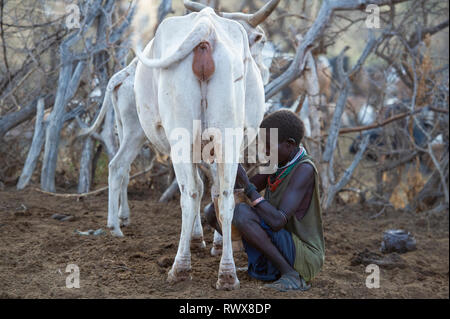 Karamojong Frau melken eine Kuh im Dorf, im Norden Ugandas Stockfoto